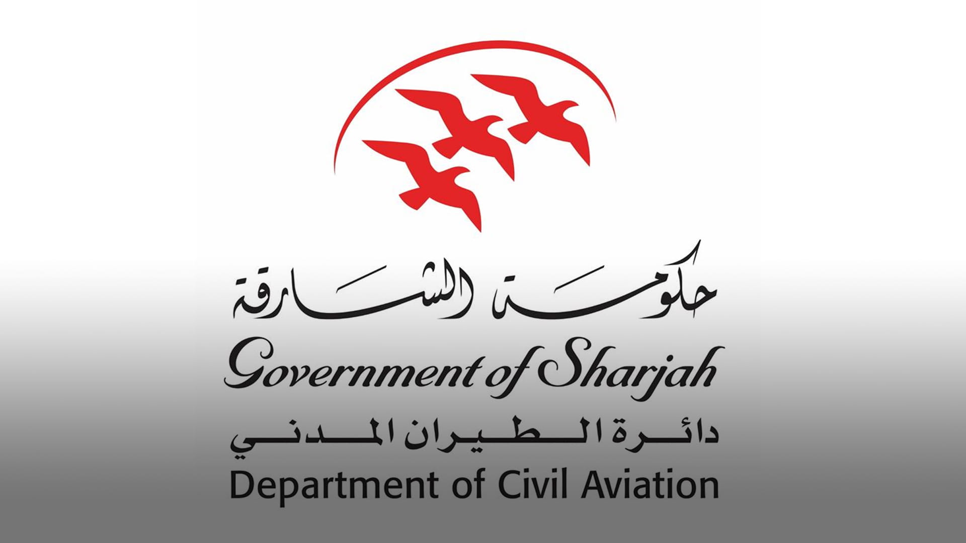 Image for the title: Department of Civil Aviation, SAA celebrate 51st UAE Flag Day 