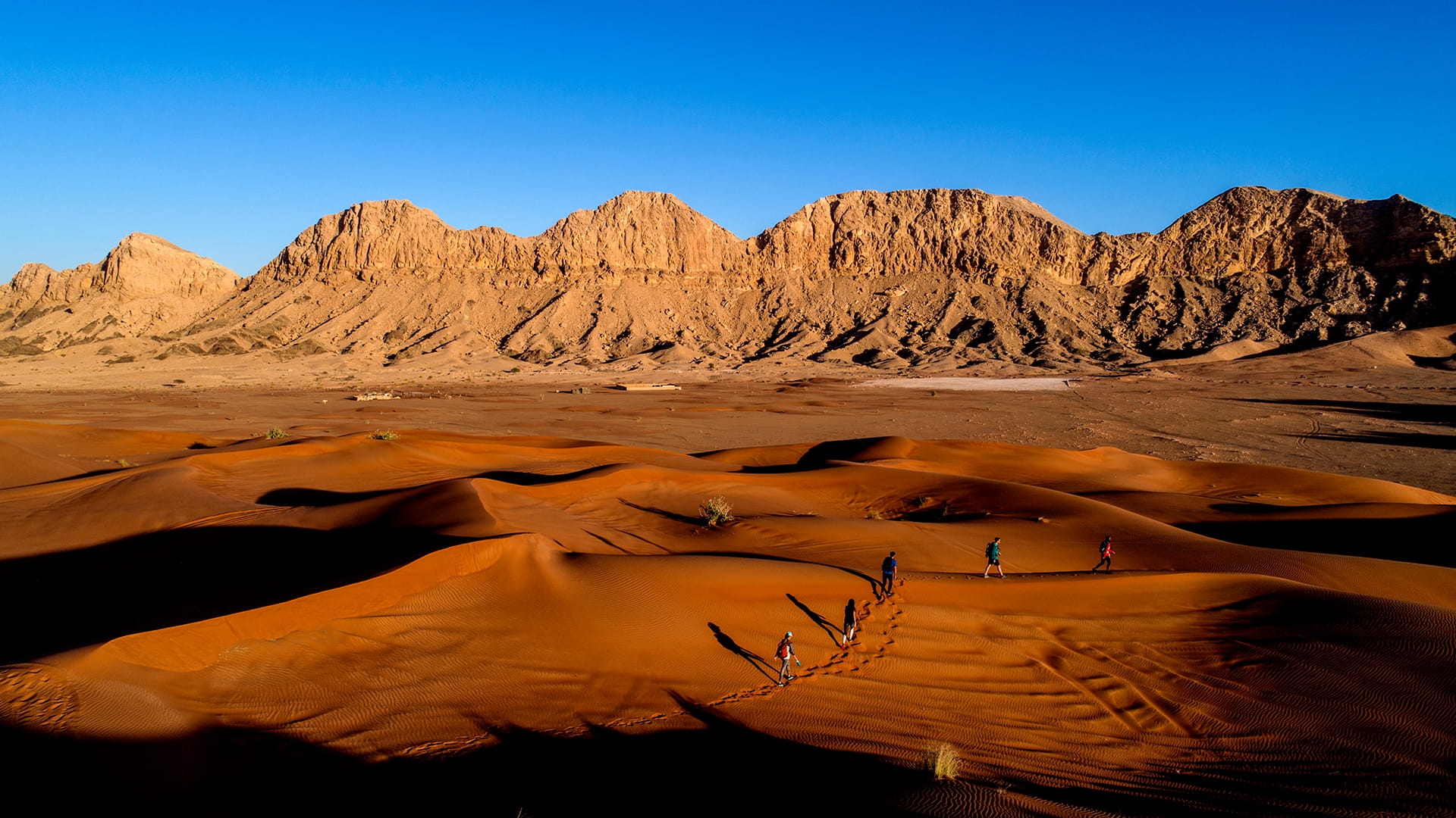 How big is Sharjah? discover the area of Sharjah Emirate 