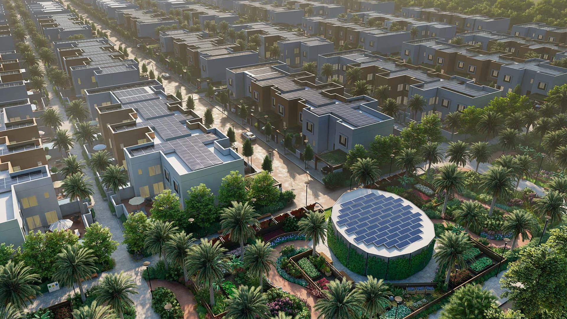 الاستدامة وحماية البيئة في إمارة الشارقة.. مبادرات ومشاريع خضراء 