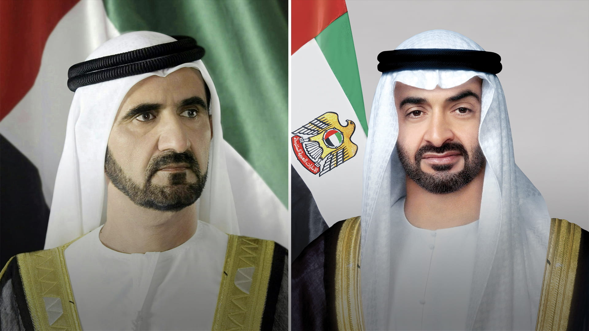 رئيس الدولة ونائبه