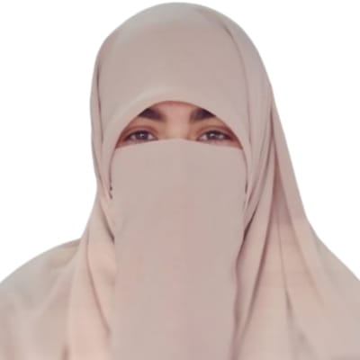 غدير الهندي )